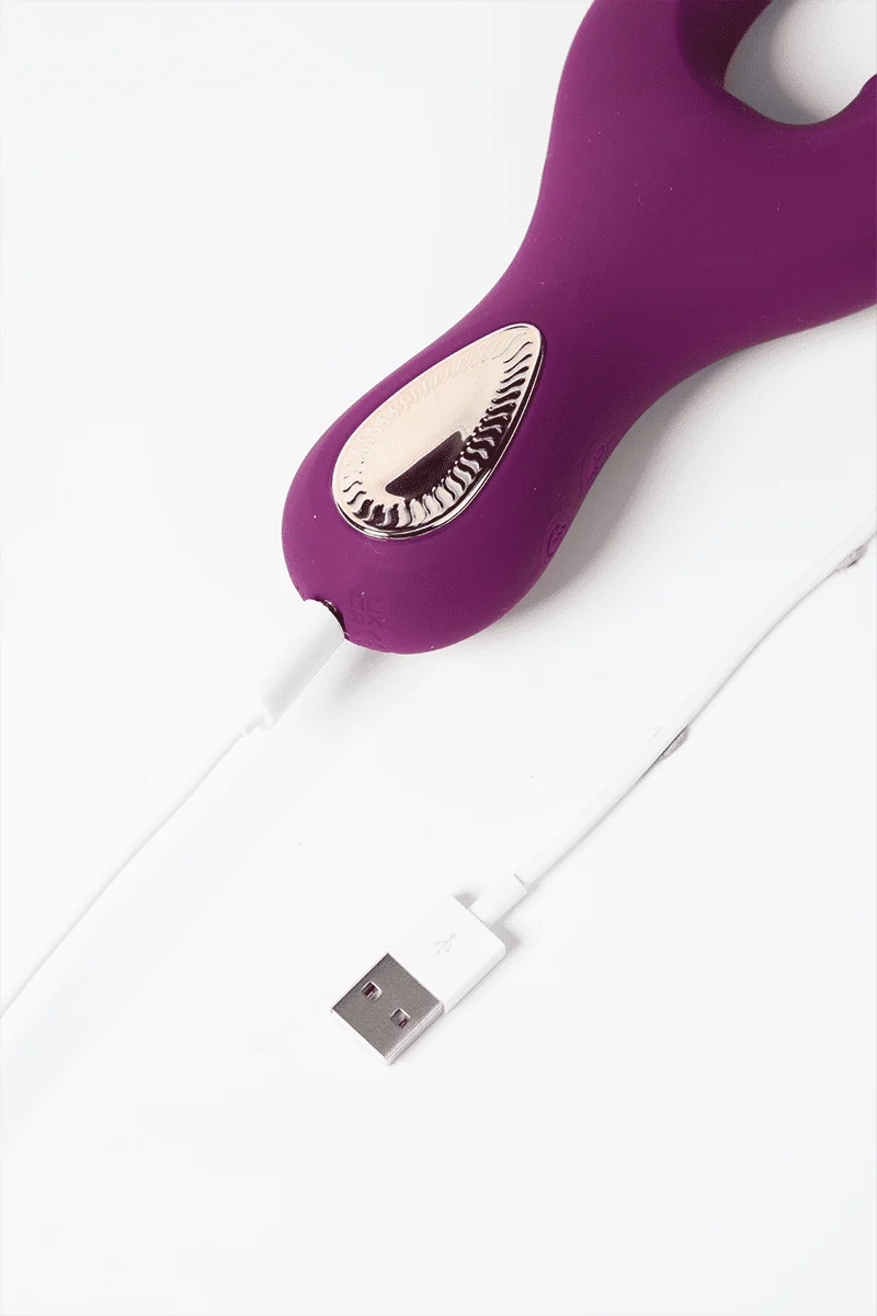 Myvelvettouch Elegant Purple G-Spot and Clitoral Sucking Vibrator 2-in-1 with charger with a white background