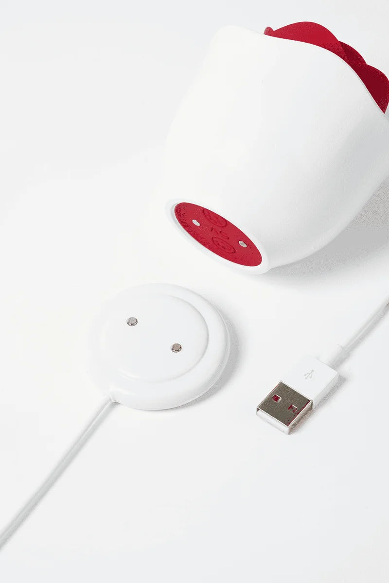 Myvelvettouch Rose Pot Clitoral Sucking and Slapping Stimulator and a USB cable on a white background