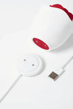 Myvelvettouch Rose Pot Clitoral Sucking and Slapping Stimulator and a USB cable on a white background