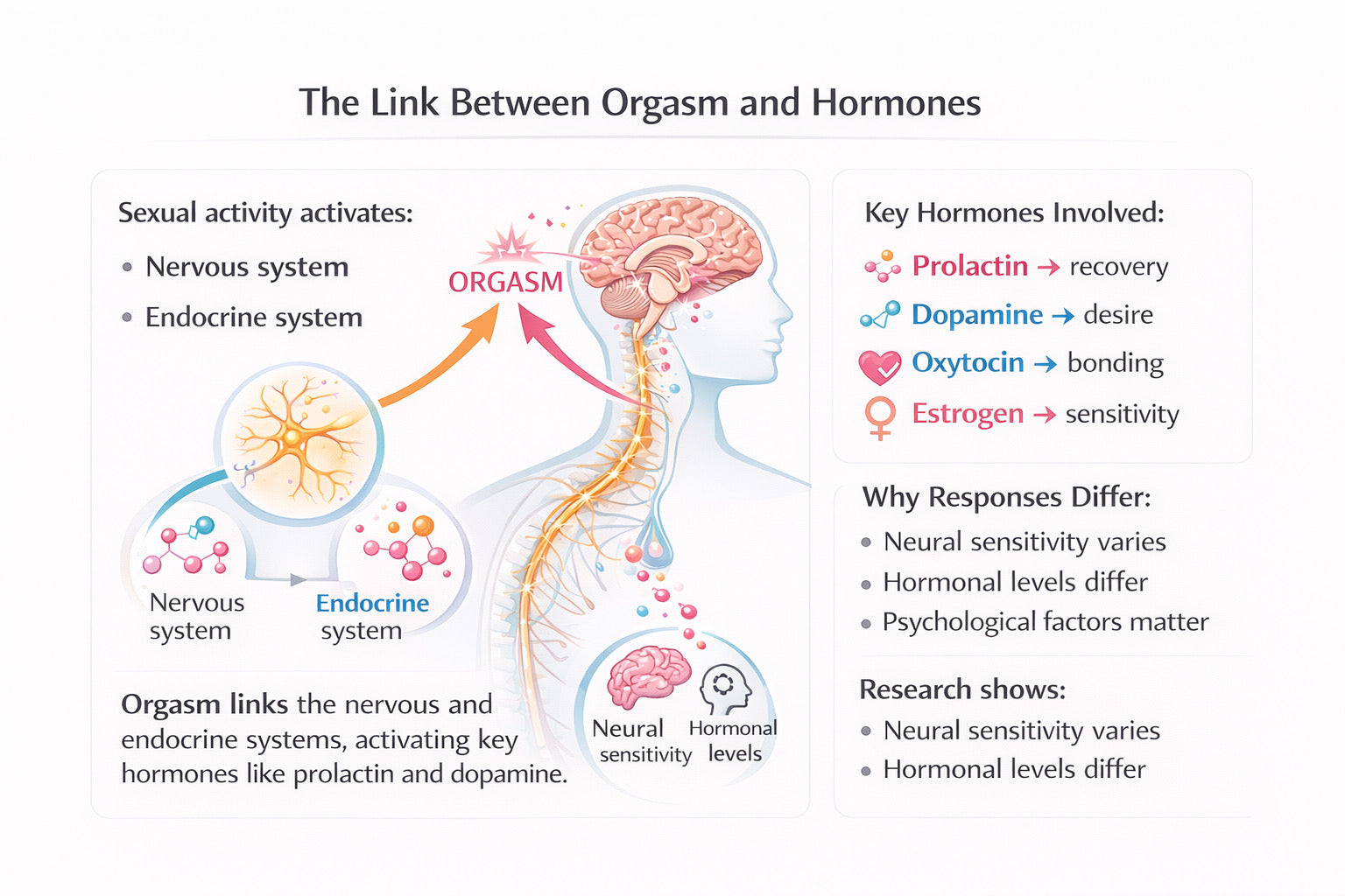 The Link Between Orgasm and Hormones