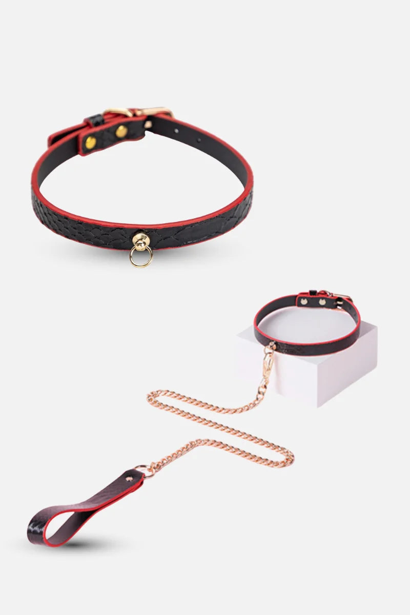 Black and red collar with chain leash on a white background