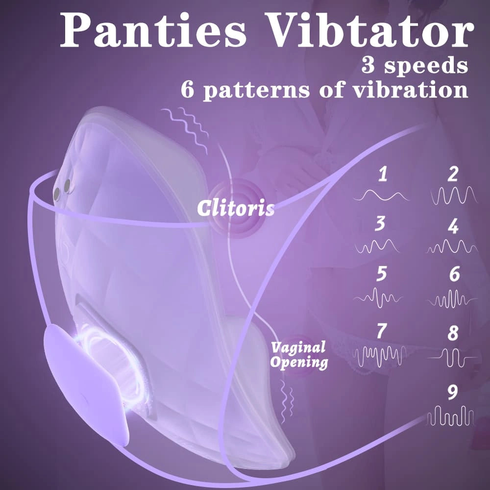 Myvelvettouch Lover Panty Vibrator with labeled parts and vibration speed patterns on a purple background