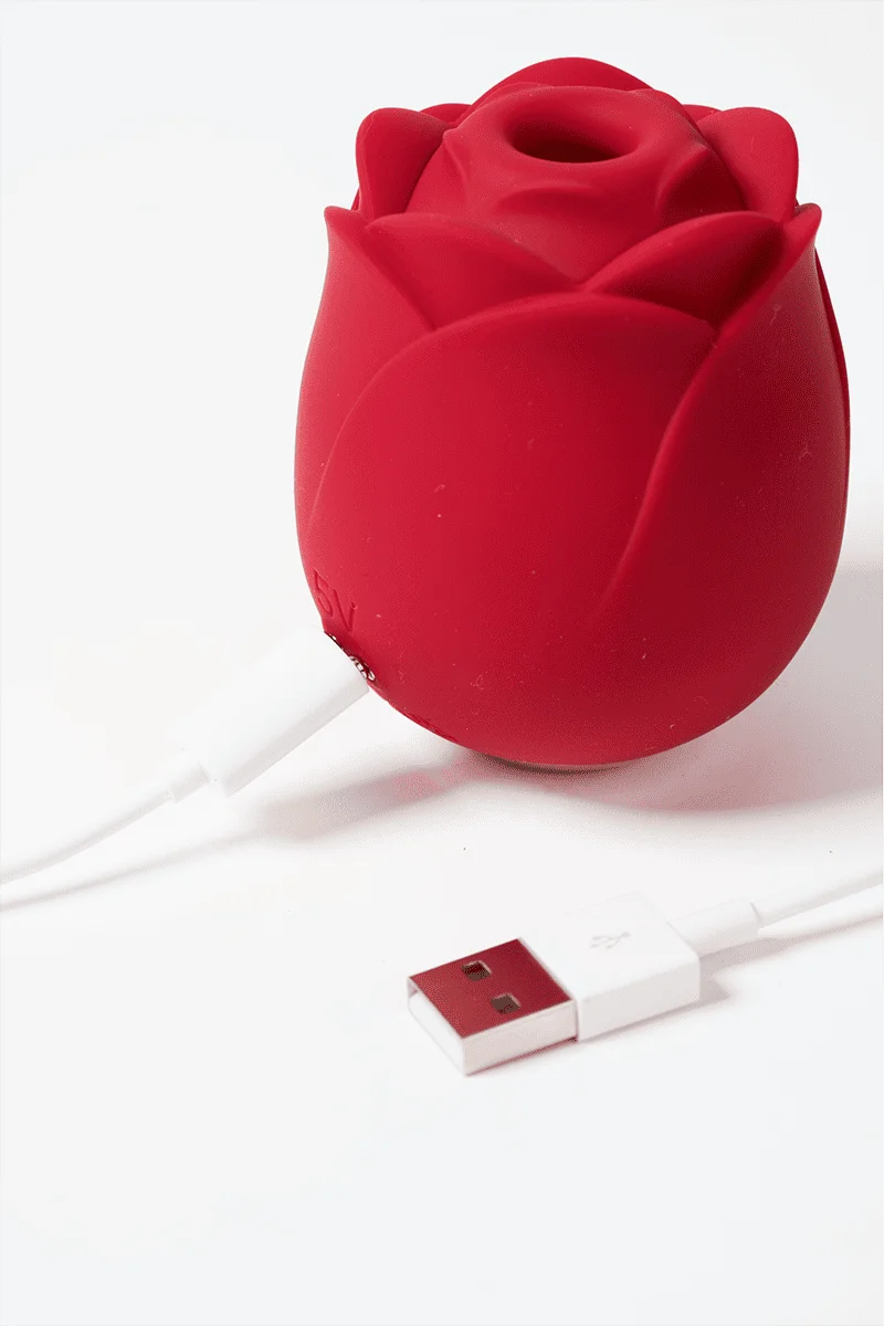 Myvelvettouch Rose Toy Clitoris Sucking and Slapping Massager with USB charger on a white background